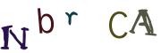 圖片的 CAPTCHA
