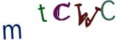 圖片的 CAPTCHA