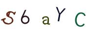 圖片的 CAPTCHA